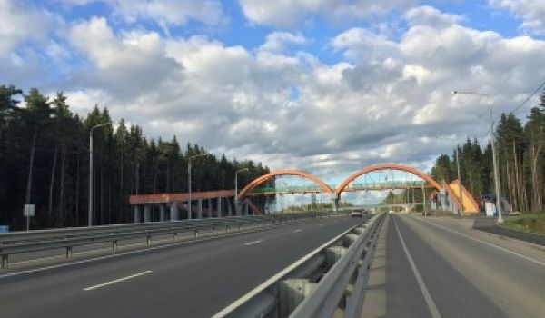 Пешеходный переход Калужская область